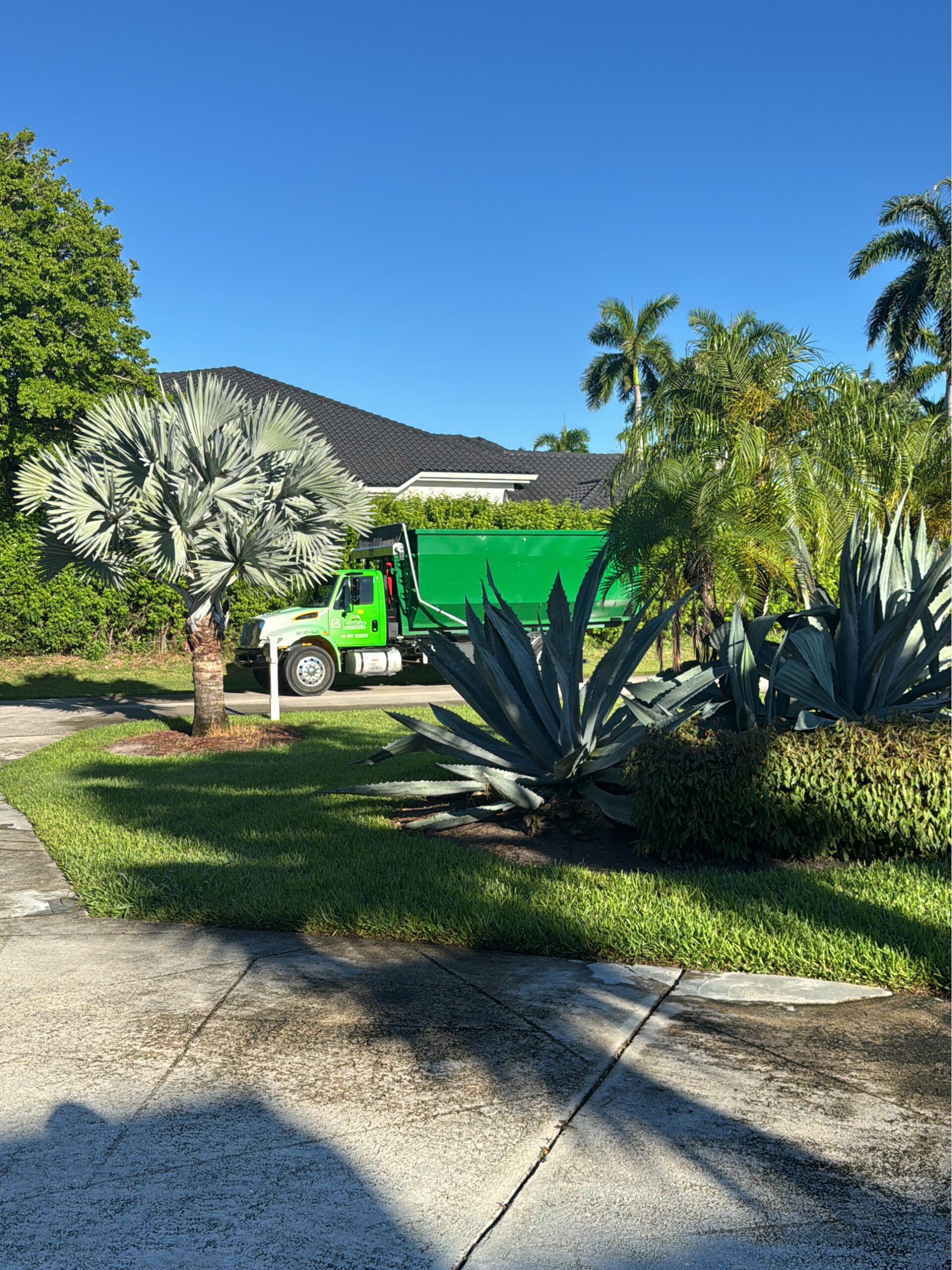 Dumpster Rentals Boca Raton Guide to Costs & Rules